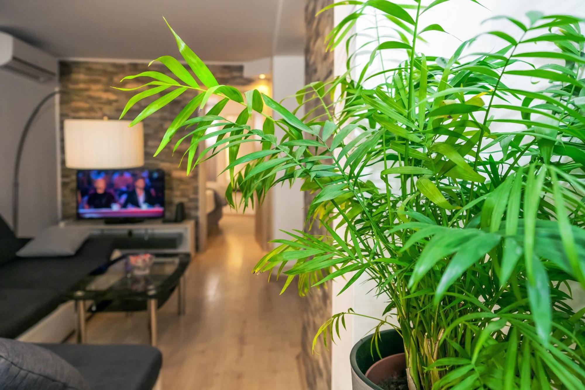 Relaxing 2Bd Apartment, Ground Floor - Walk To Old Town Split Buitenkant foto